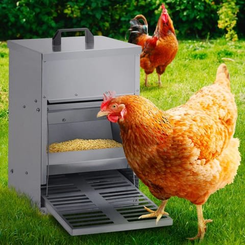 Mangeoire IDMarket distributeur automatique pour poules