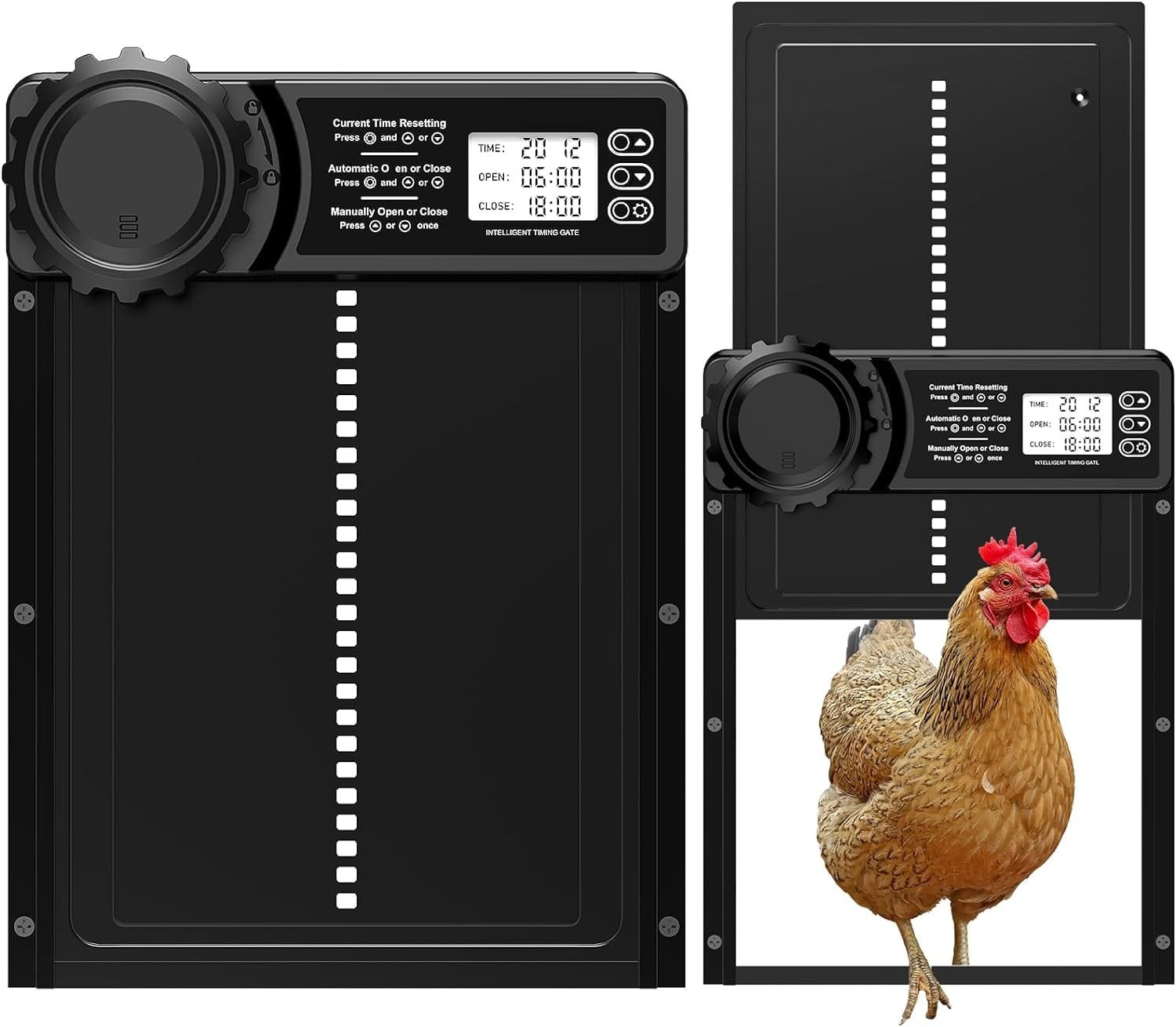 Porte automatique ChickenGuard All-in-One (écran LCD)