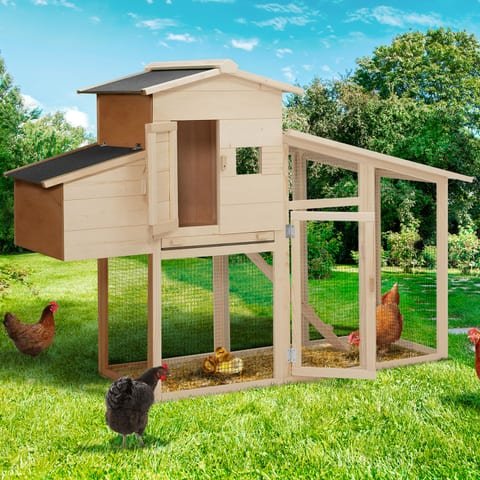 Poulailler compact IDMarket avec pondoir (2 à 4 poules)