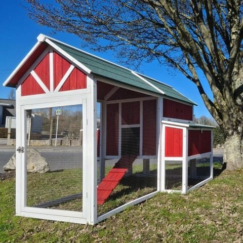 Poulailler Animal Valley Deluxe toit shingle (10 à 12 poules)