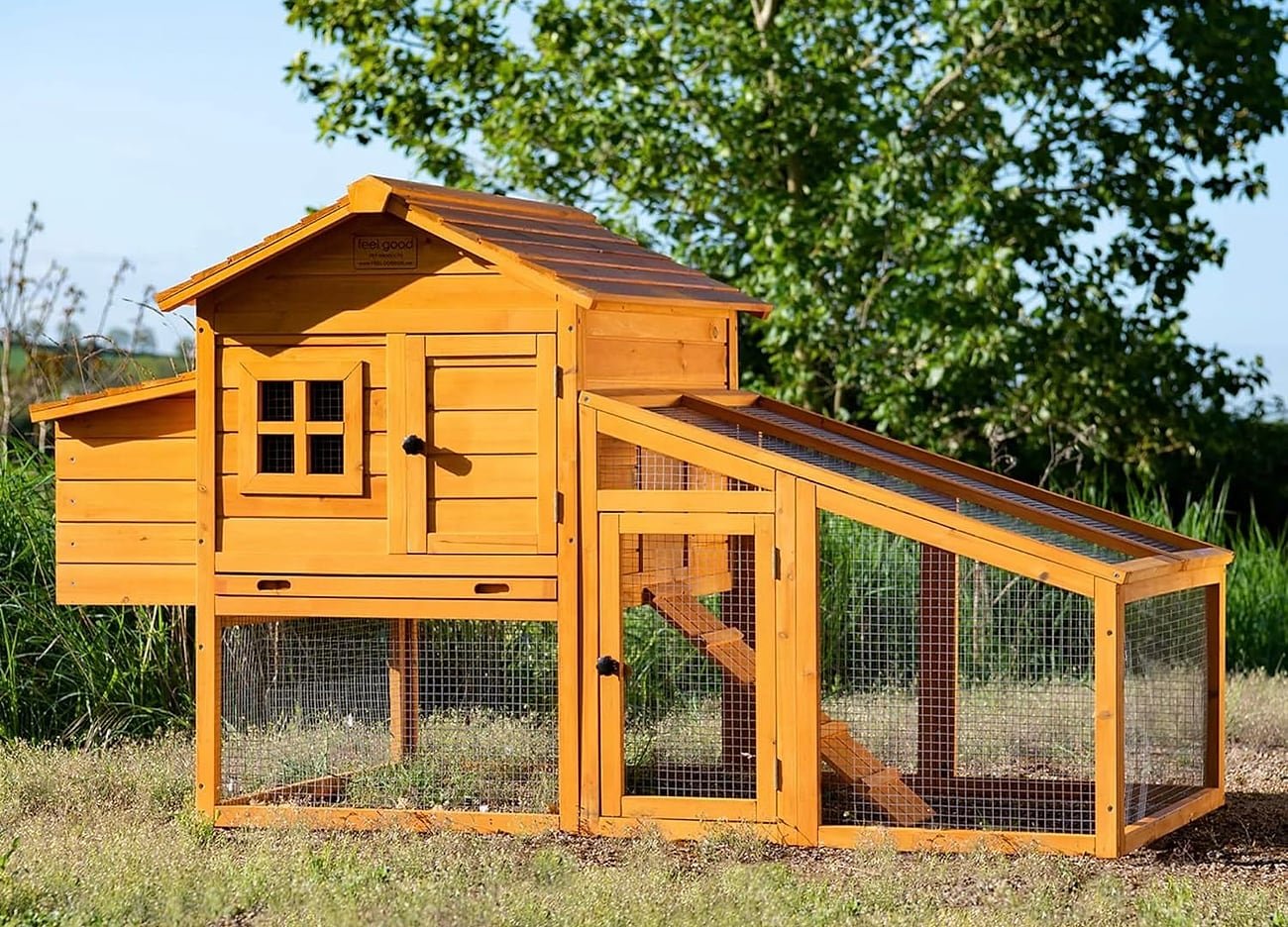 Poulailler en bois avec pondoir et enclos grillagé dans un jardin