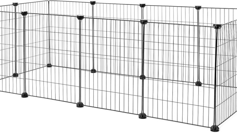 Aménager le parcours et l&rsquo;enclos des poules