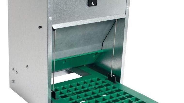 Meilleure mangeoire automatique anti-nuisible pour poules