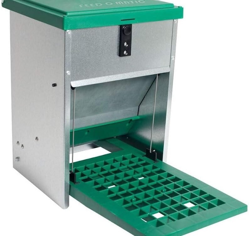 Meilleure mangeoire automatique anti-nuisible pour poules