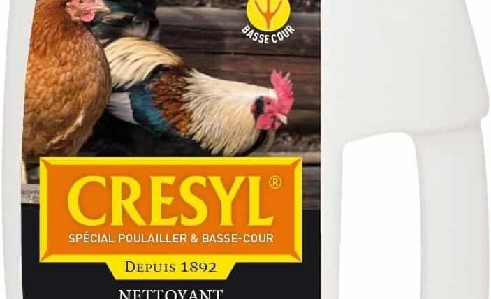 Nettoyer et entretenir son poulailler : le tutoriel complet