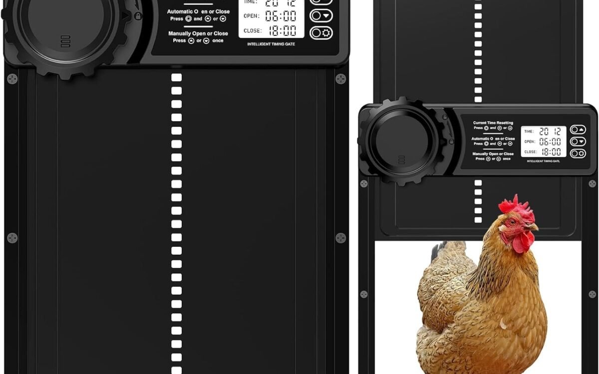 Meilleure porte automatique de poulailler (comparatif)
