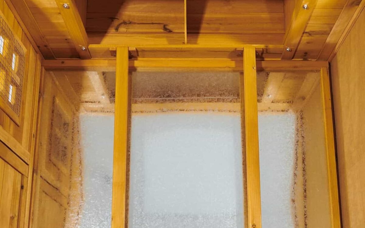Éclairage du poulailler : soutenir la ponte en hiver