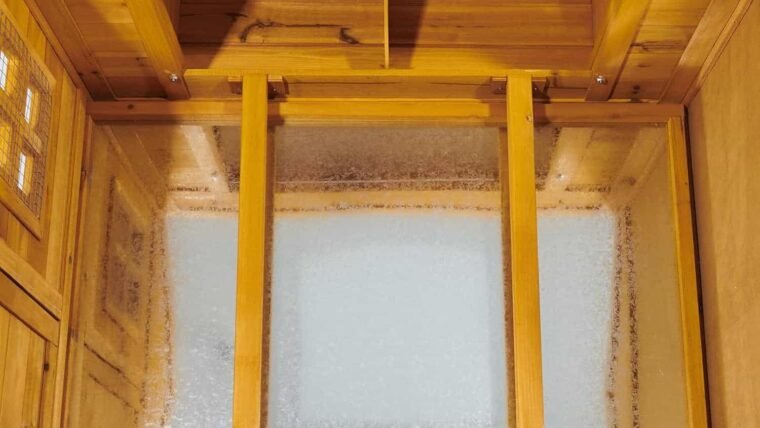 Éclairage du poulailler : soutenir la ponte en hiver