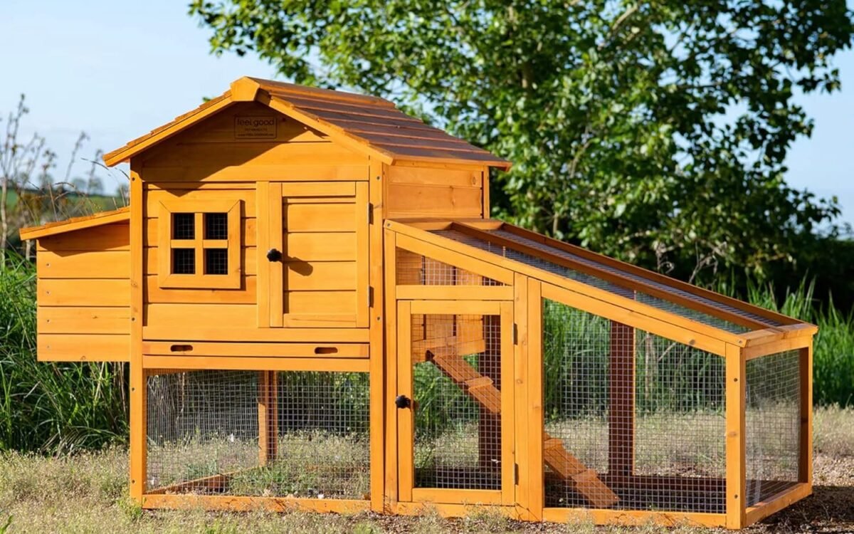 Comparatif des meilleurs poulaillers en bois en kit (2026)