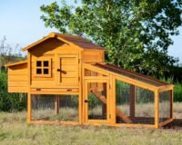 Comparatif des meilleurs poulaillers en bois en kit (2026)