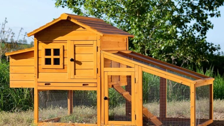 Comparatif des meilleurs poulaillers en bois en kit (2026)